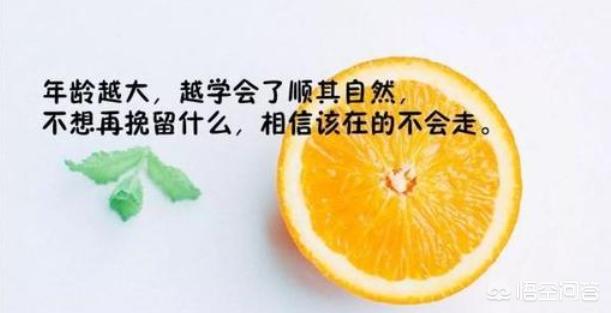 心灵鸡汤下载_心灵鸡汤免费下载
