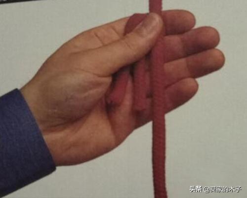 魔术揭秘大全_魔术揭秘大全图片