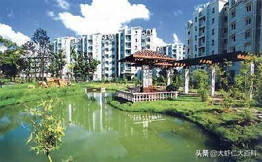 复旦学霸宿舍_复旦学霸宿舍图片