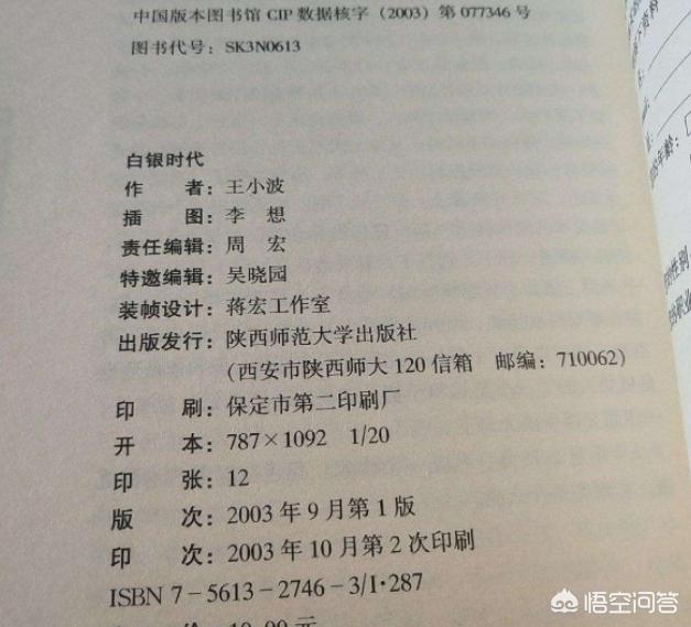 白银时代王小波_白银时代王小波小说简介