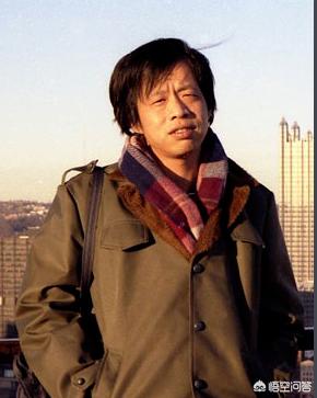 白银时代王小波_白银时代王小波小说简介