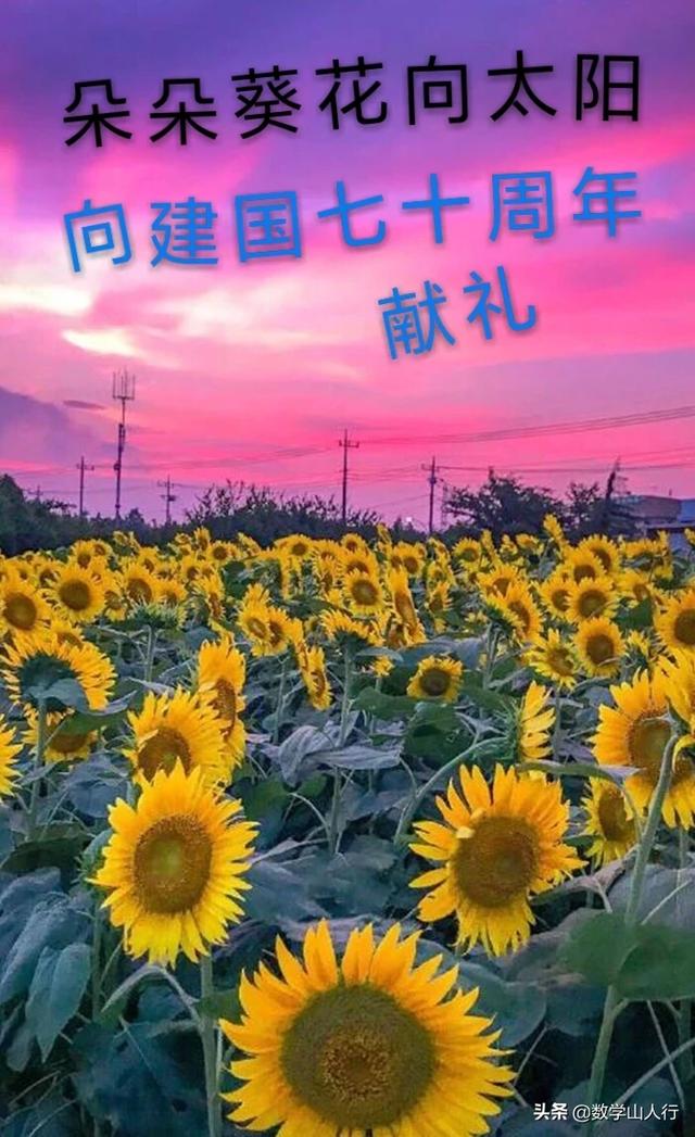 初二上册数学_初二上册数学题