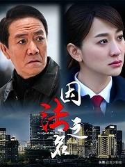 李小冉演过的电视剧_李小冉演过的电视剧大全(全部)