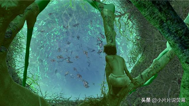 少年派的奇幻漂流免费观看完整版