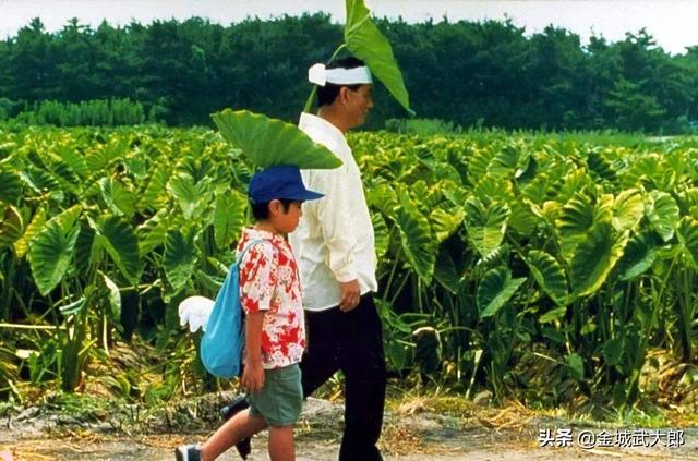 日本好看的电影（日本好看的电影妈妈的职业）